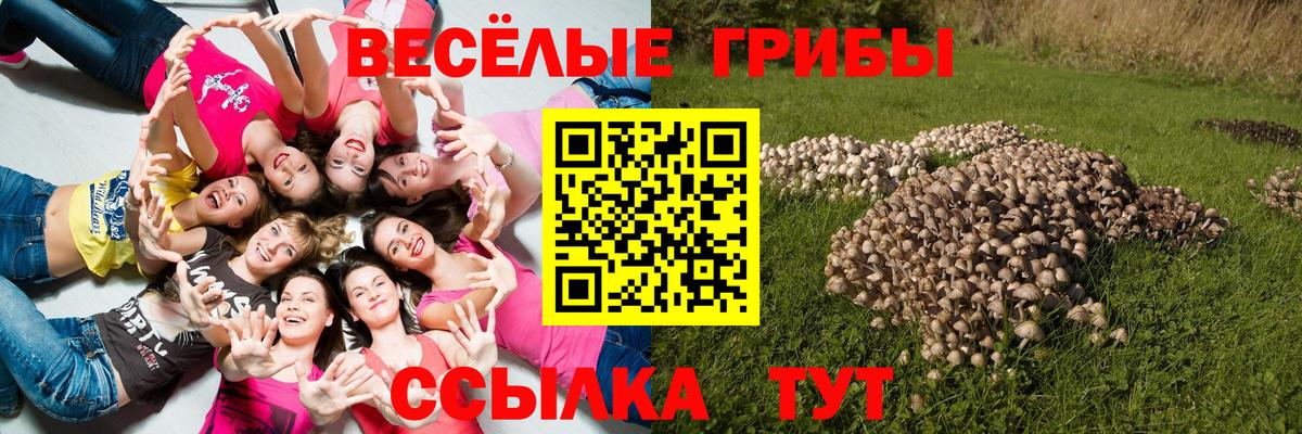 Электрогорск  Псилоцибиновые грибы MAGIC MUSHROOMS  сколько стоит  Вход с VPN 
